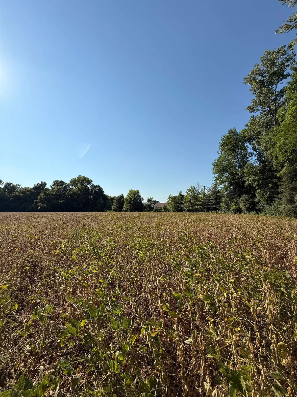 0 SLEDGE DR, Millington, TN 38053 - #1