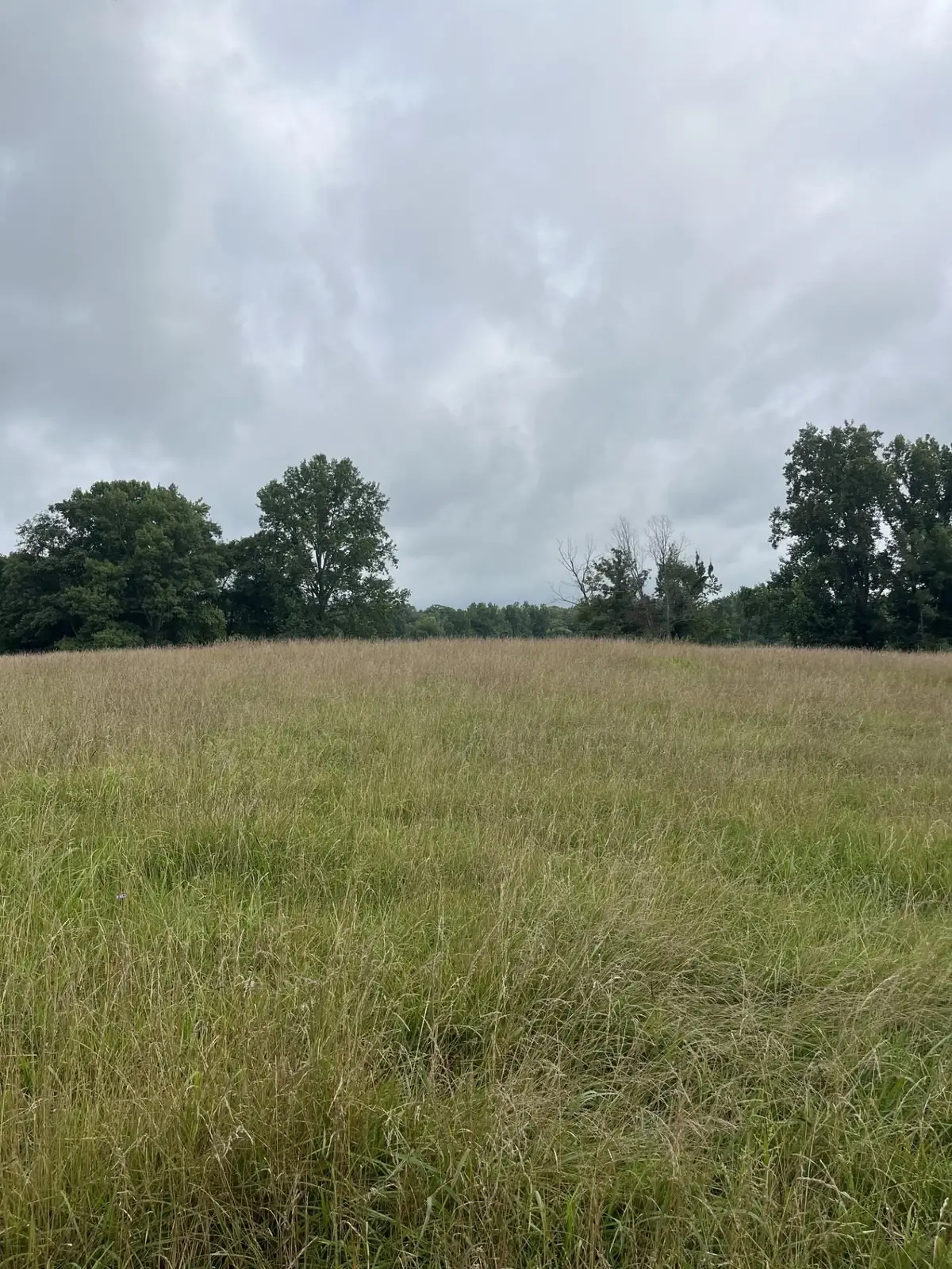 899 EL SMITH RD S, Monroe, TN 38573 - #1