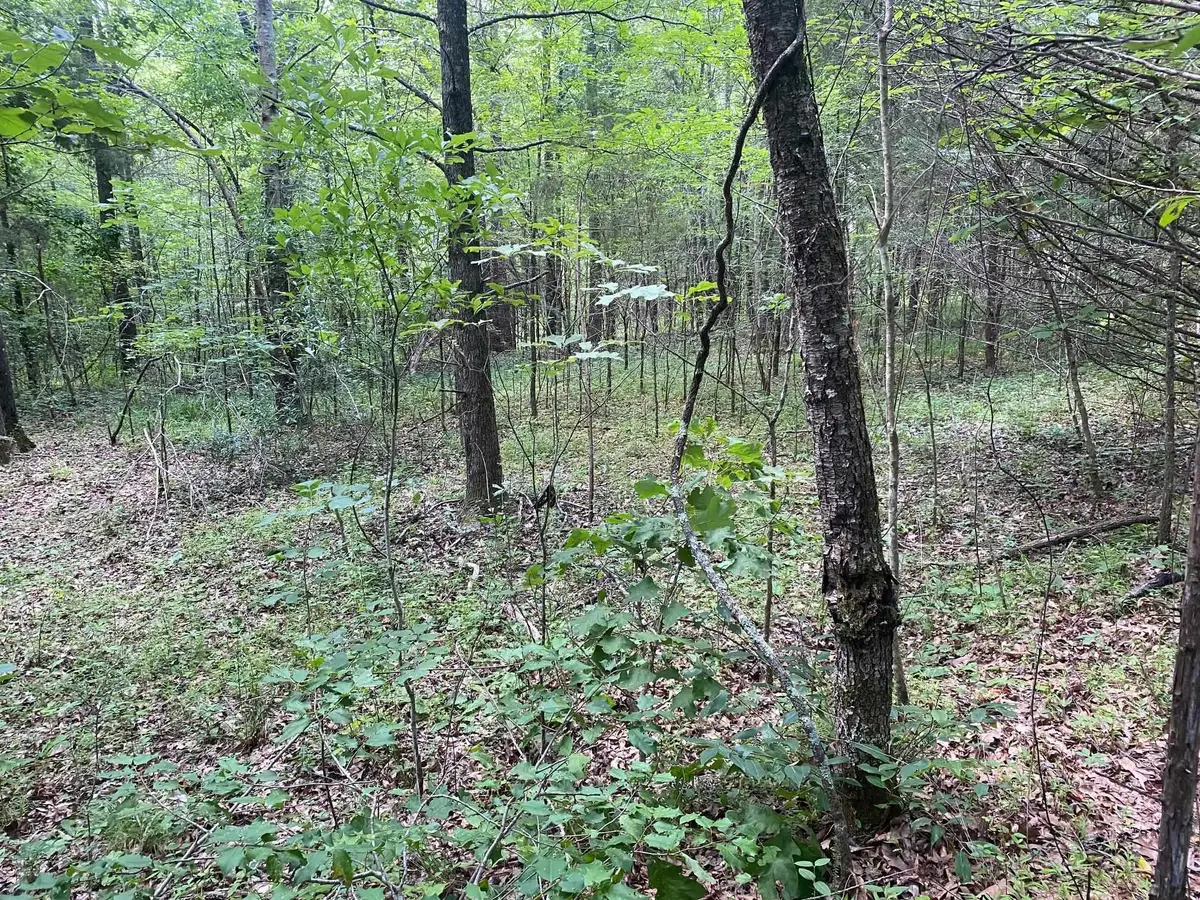 LEONARD LN, Bethel Springs, TN 38315 - #1
