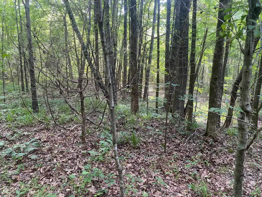 LEONARD LN, Bethel Springs, TN 38315 - #3