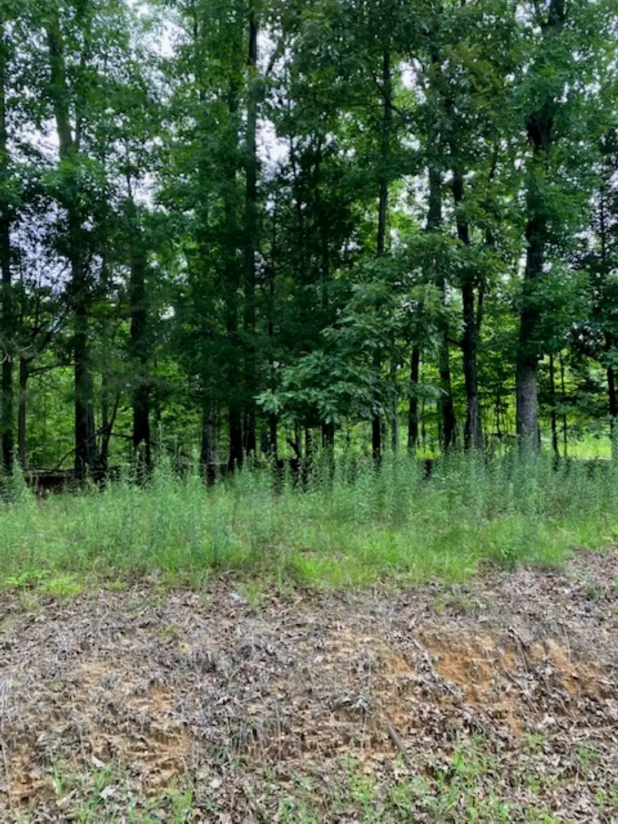 3075 REHOBOTH RD, Somerville, TN 38068 - #2