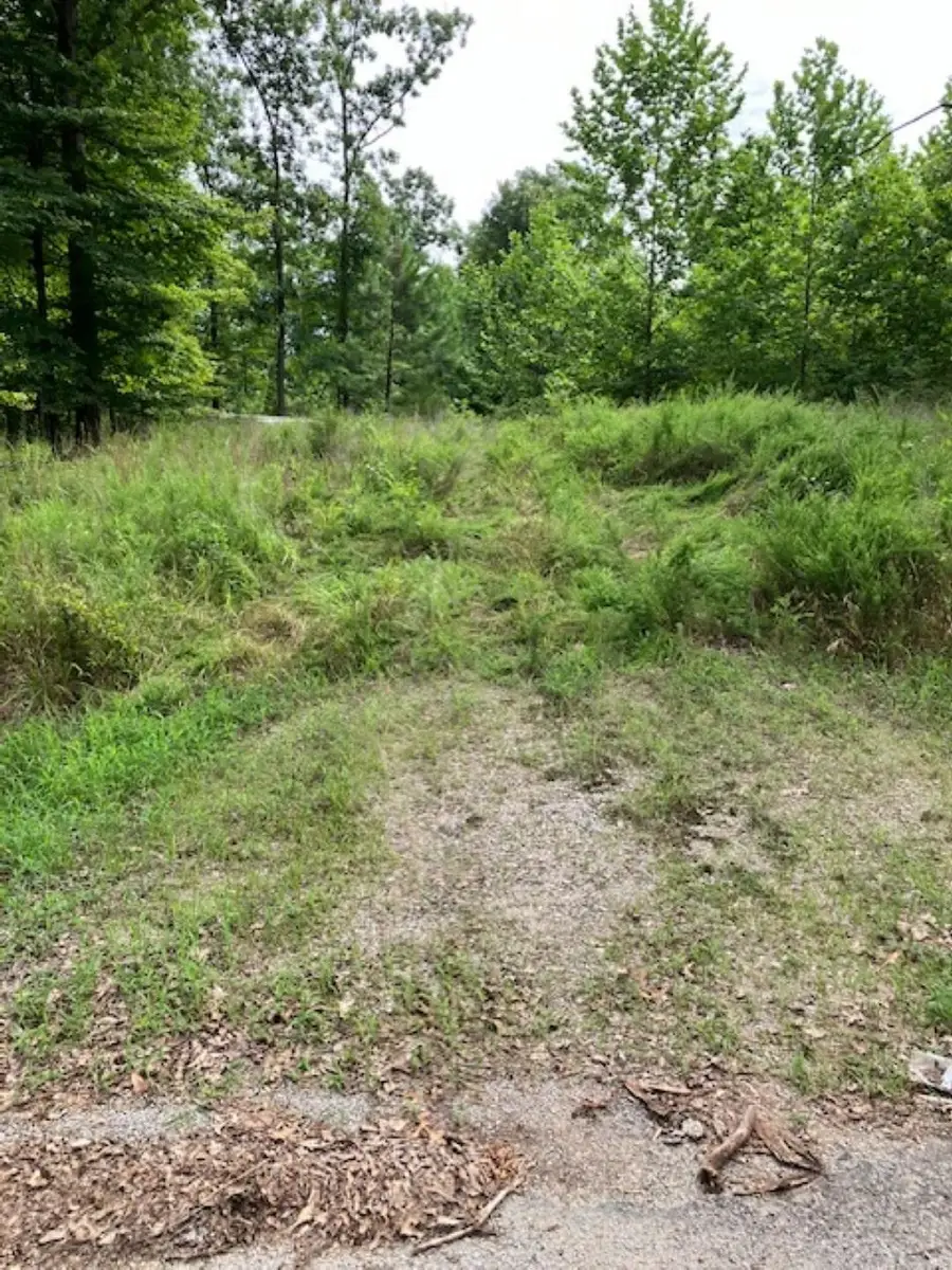 3075 REHOBOTH RD, Somerville, TN 38068 - #3