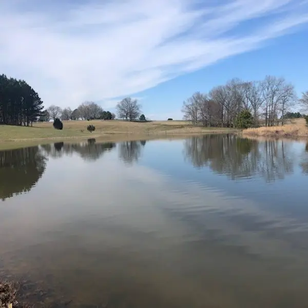 30 HUTTON DR, Rossville, TN 38066