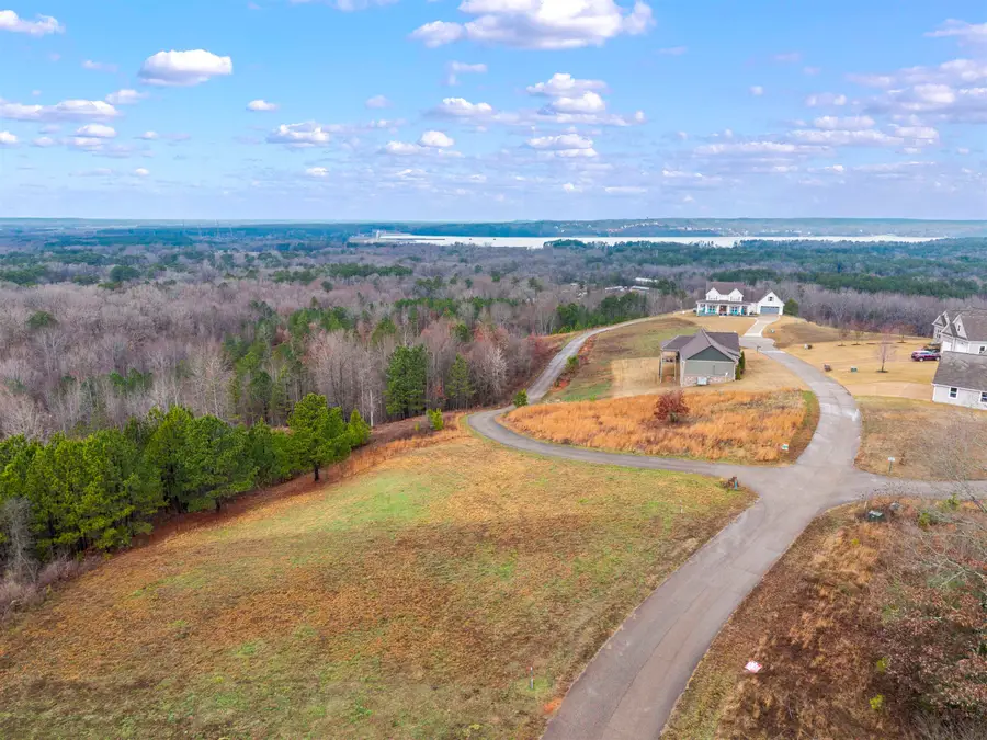 375 TURKEY KNOB LN, Counce, TN 38326 - #3