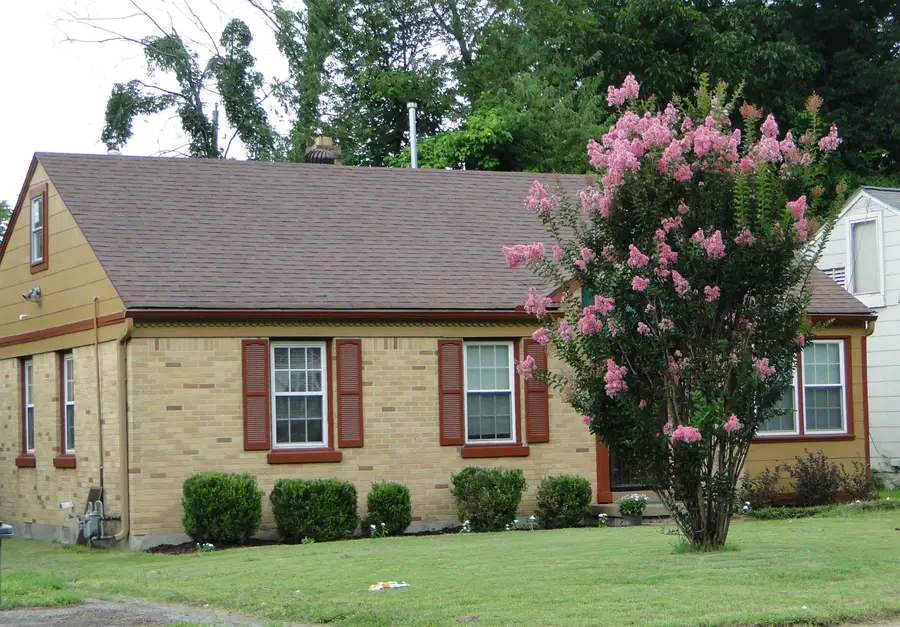 597 BUCK ST, Memphis, TN 38111 - #3