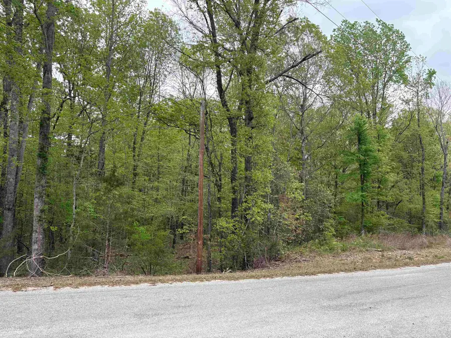 620 ROLLING BROOK DR, Somerville, TN 38068 - #3