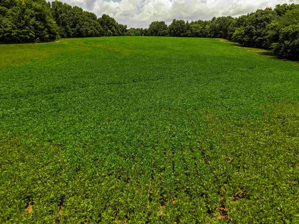 00 MAE SIGMA RD, Brighton, TN 38011