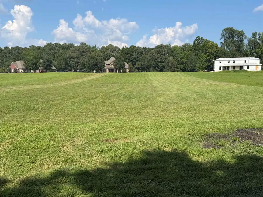 55 N LAKE POINTE CV, Rossville, TN 38066 - #3