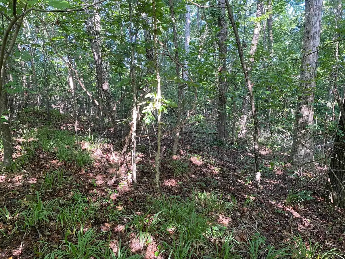 COUNTRY WOODS DR, Selmer, TN 38375 - #1