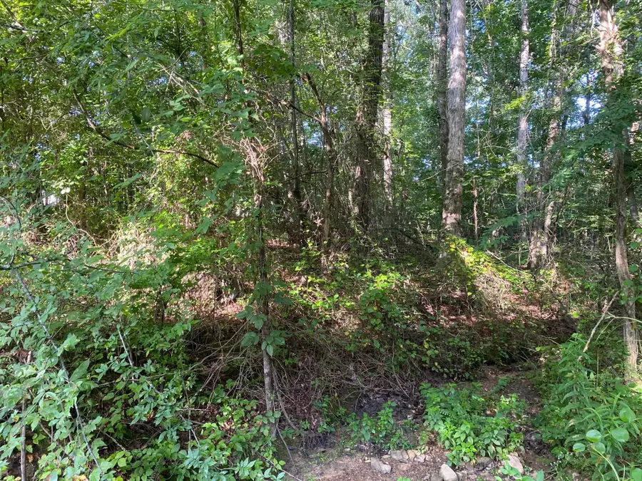 COUNTRY WOODS DR, Selmer, TN 38375 - #2