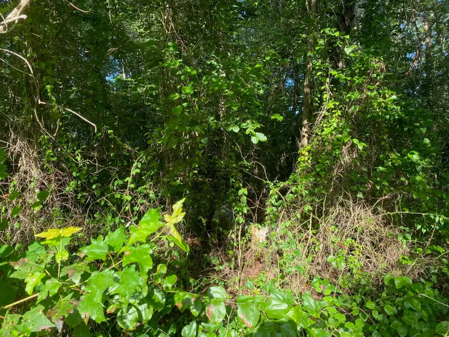 COUNTRY WOODS DR, Selmer, TN 38375 - #3