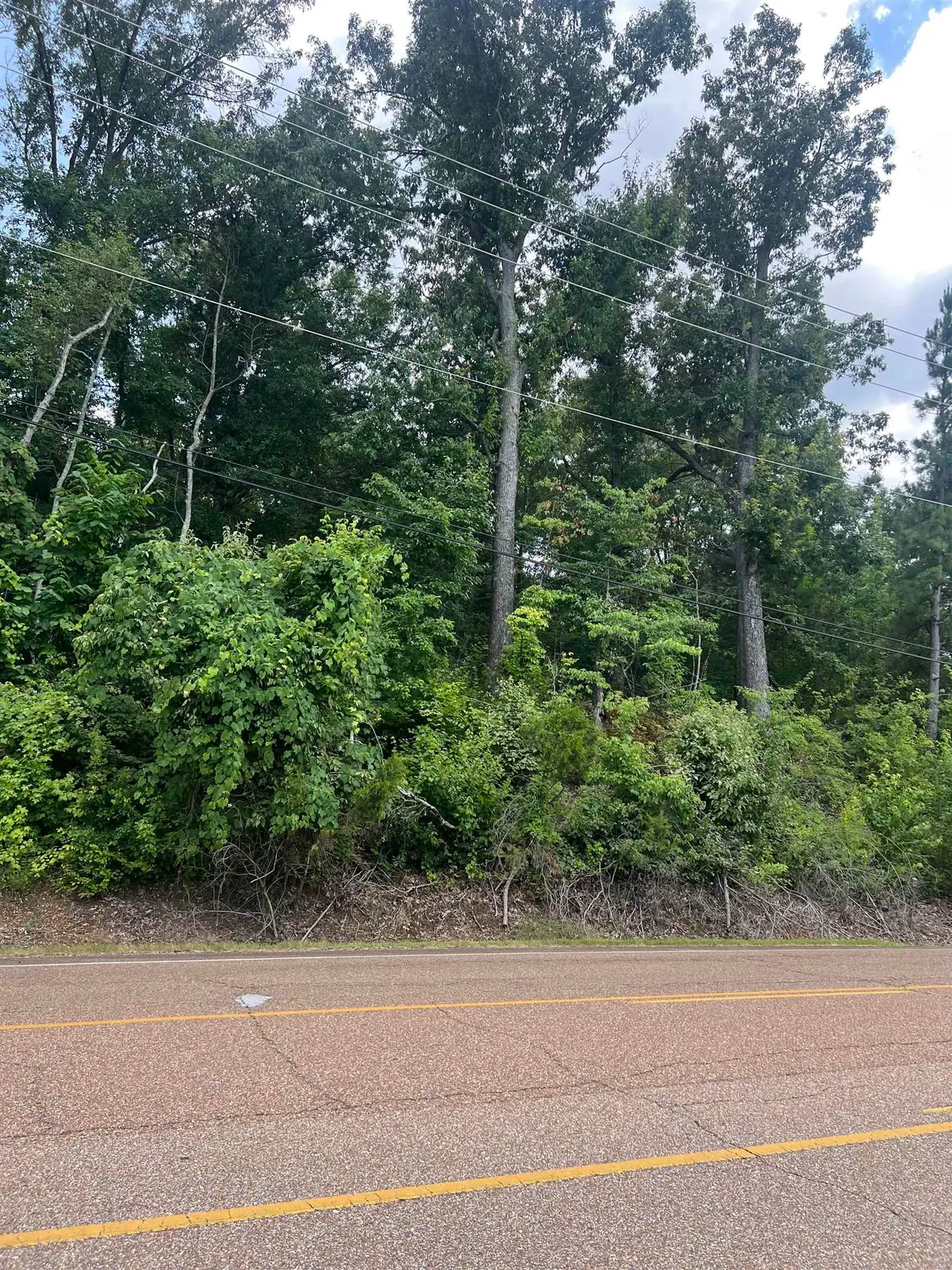 8207 OLD BROWNSVILLE RD, Bartlett, TN 38002 - #1