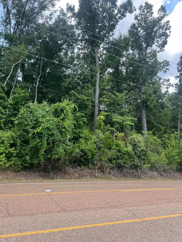 8207 OLD BROWNSVILLE RD, Bartlett, TN 38002