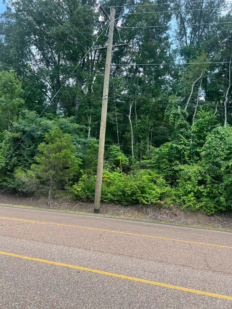 8207 OLD BROWNSVILLE RD, Bartlett, TN 38002 - #2
