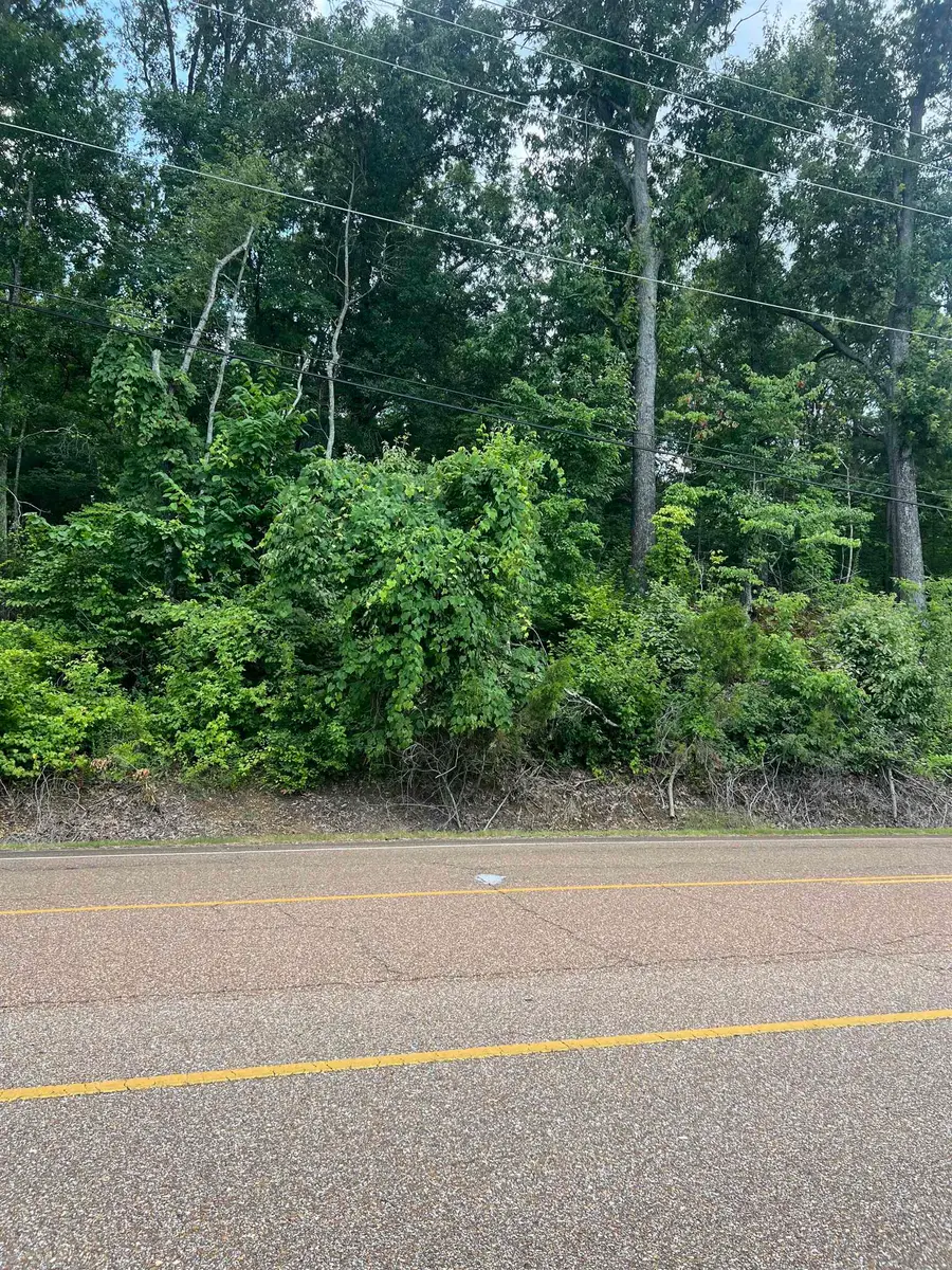 8207 OLD BROWNSVILLE RD, Bartlett, TN 38002 - #3