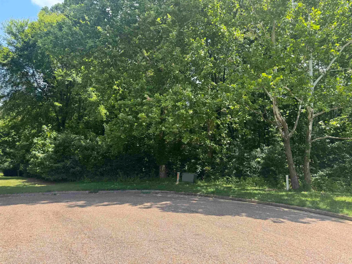 422 SCOTTSCRAIG CV, Bartlett, TN 38135 - #1