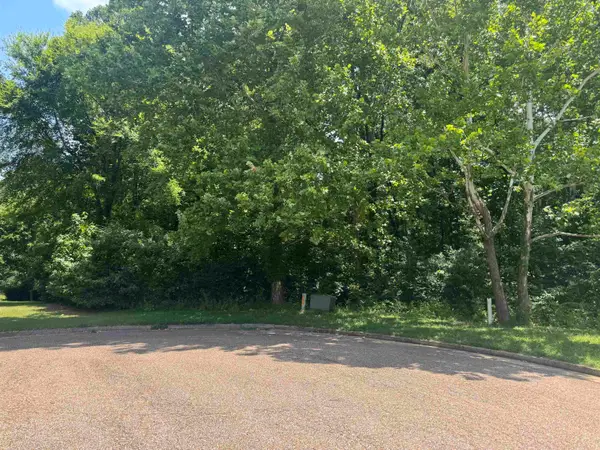 422 SCOTTSCRAIG CV, Bartlett, TN 38135