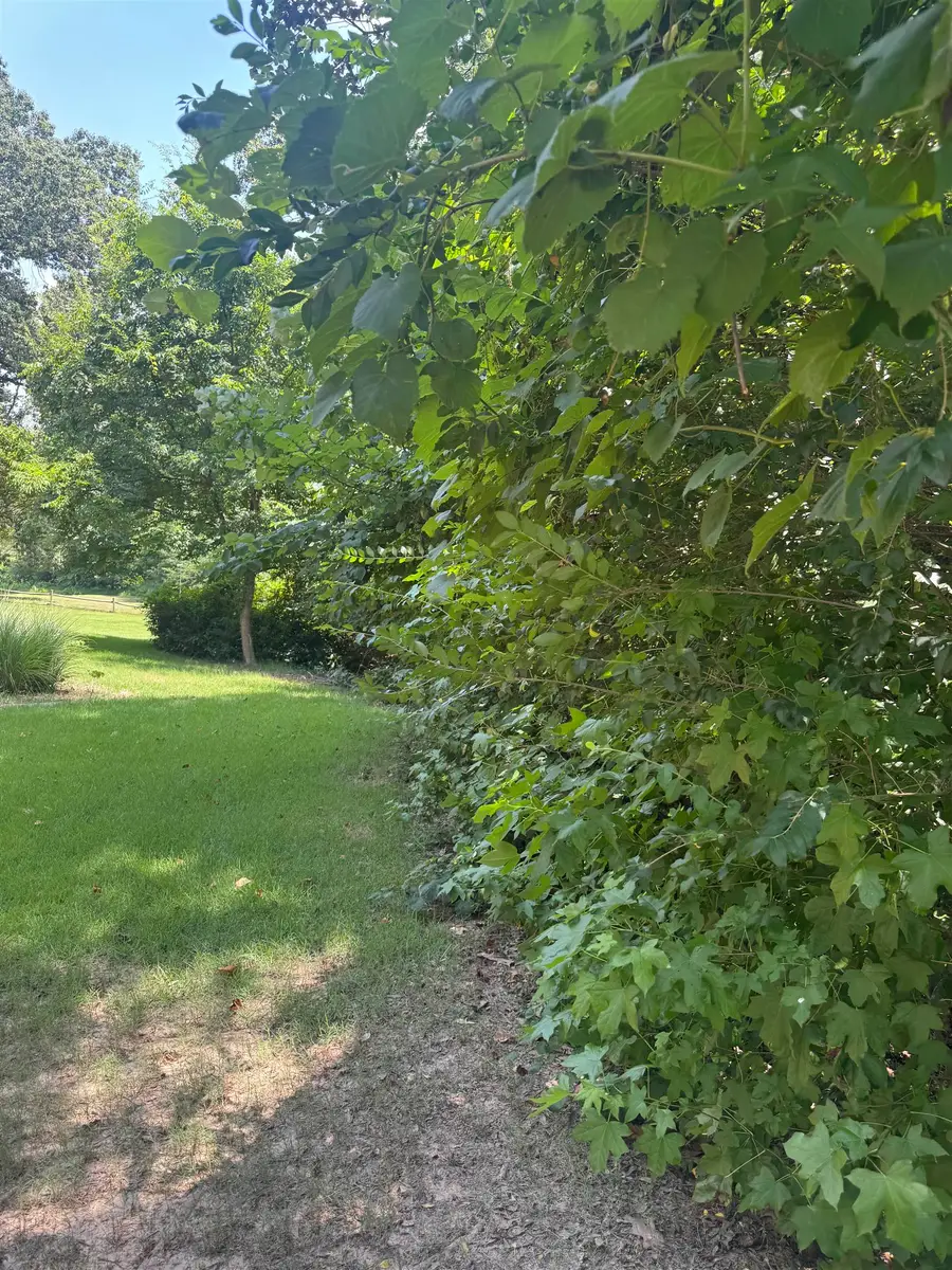 422 SCOTTSCRAIG CV, Bartlett, TN 38135 - #2
