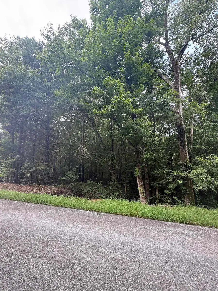 HEAVEN HILL DR, Somerville, TN 38068 - #2