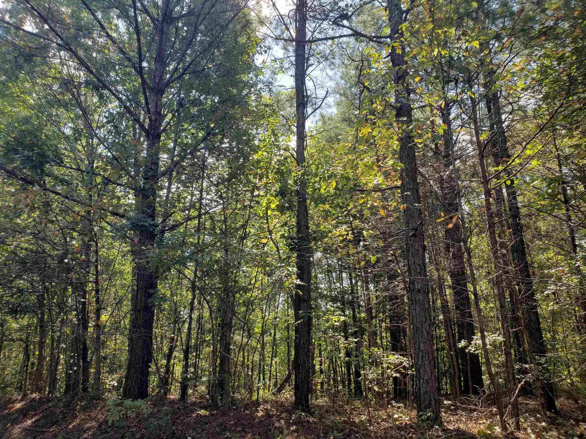 0 CR 414 RD, Falkner, MS 38629 - #1