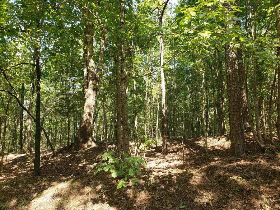 0 CR 414 RD, Falkner, MS 38629 - #2