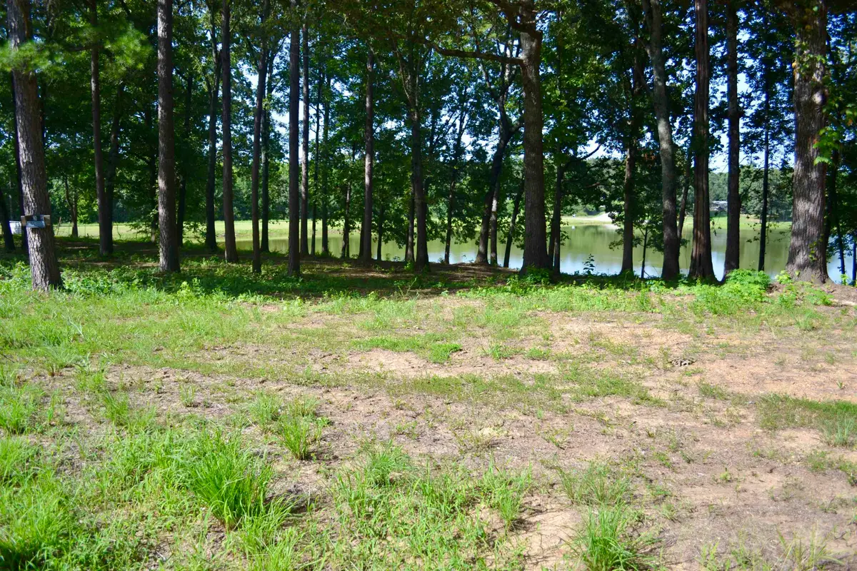 00 ROLLING BROOK DRIVE DR, Somerville, TN 38068 - #1