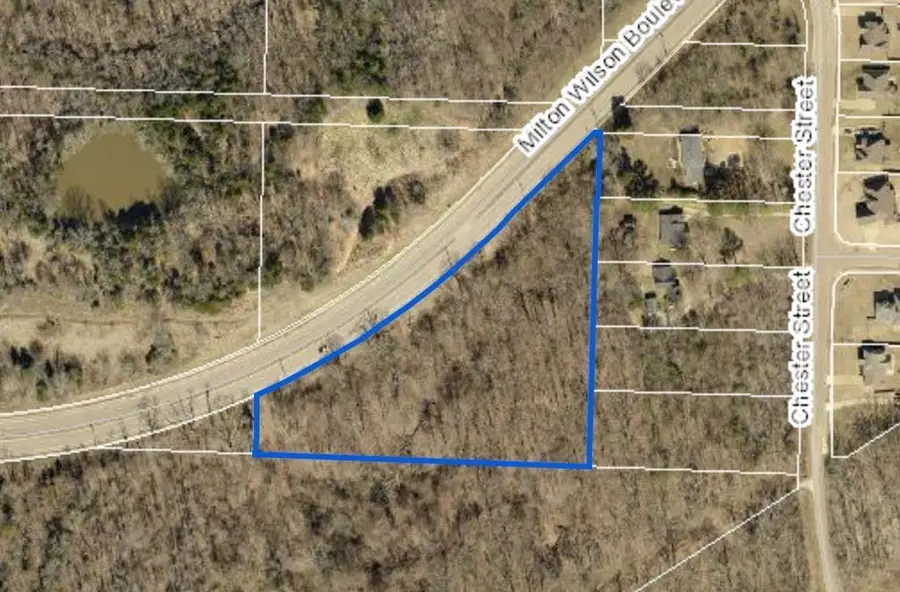 0 MILTON WILSON RD, Arlington, TN 38002 - #2
