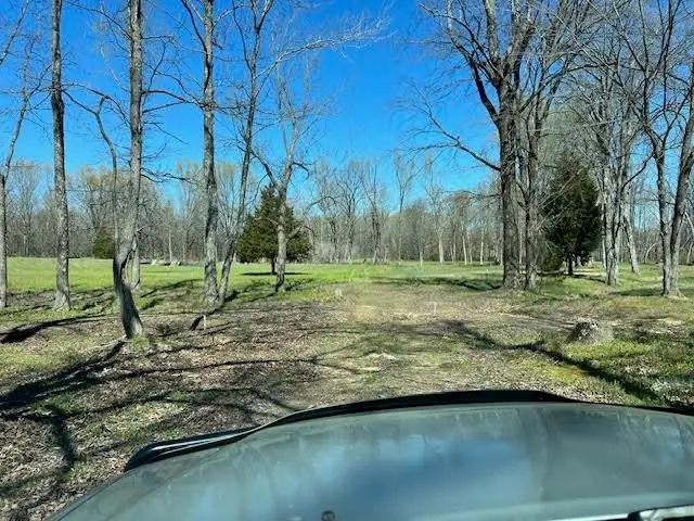 80 MACON RIDGE CV, Williston, TN 38076 - #1