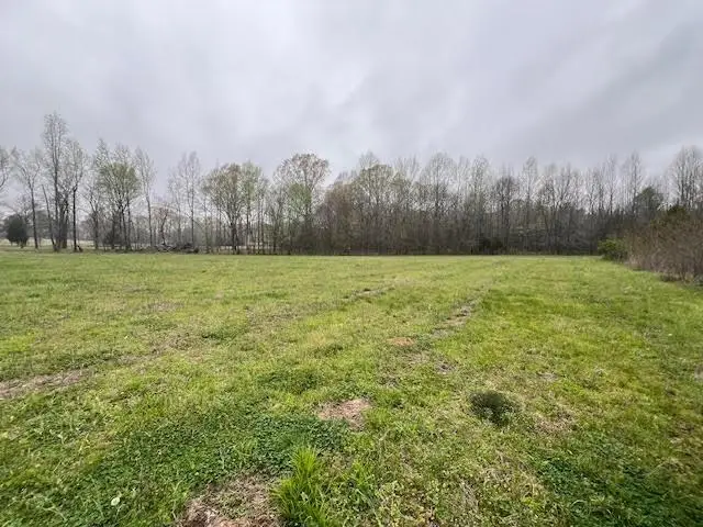 80 MACON RIDGE CV, Williston, TN 38076 - #3