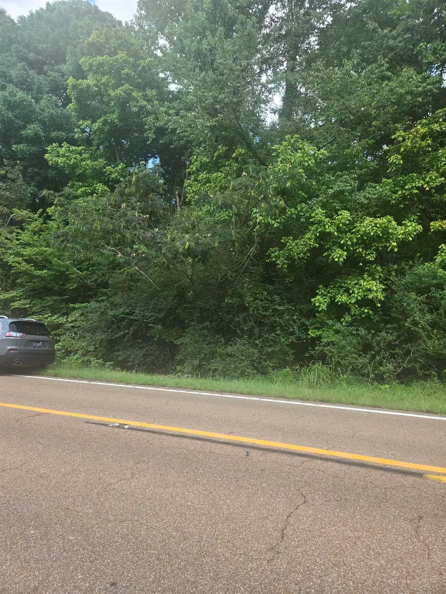 HWY 194 HWY, Oakland, TN 38060 - #2