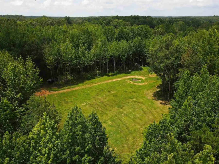 1234 SANDY FLATT RD, Bethel Springs, TN 38315 - #2