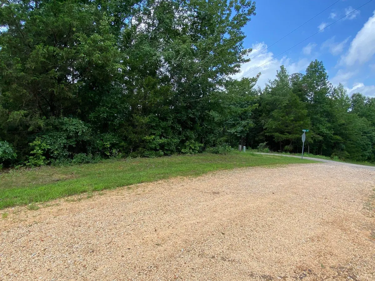 11 BALD EAGLE DR, Morris Chapel, TN 38361 - #1