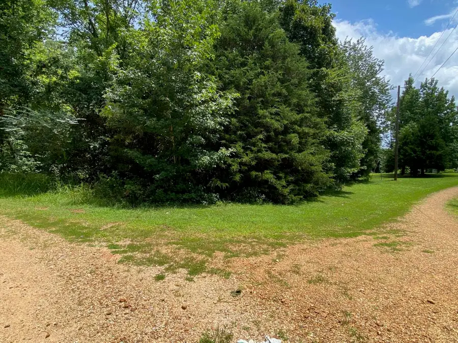 11 BALD EAGLE DR, Morris Chapel, TN 38361 - #3