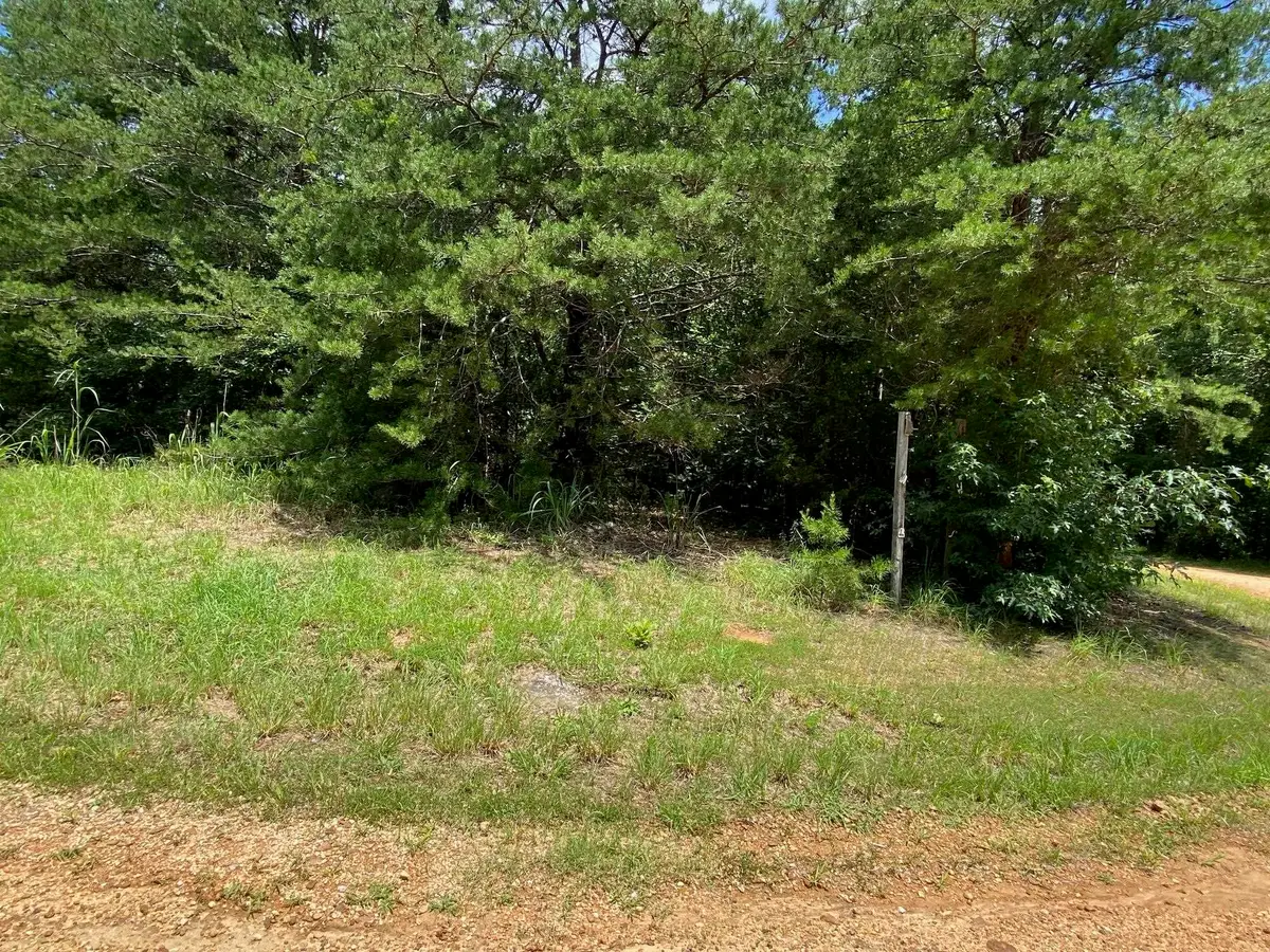 5 BALD EAGLE DR, Morris Chapel, TN 38361 - #1