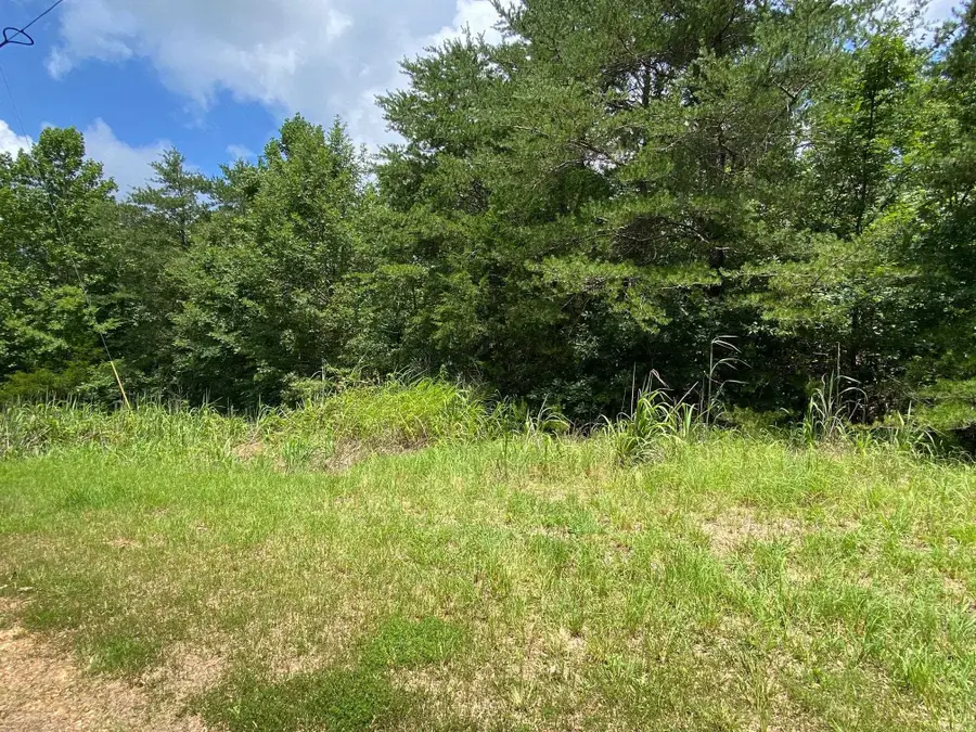 5 BALD EAGLE DR, Morris Chapel, TN 38361 - #2