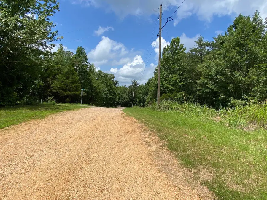 5 BALD EAGLE DR, Morris Chapel, TN 38361 - #3