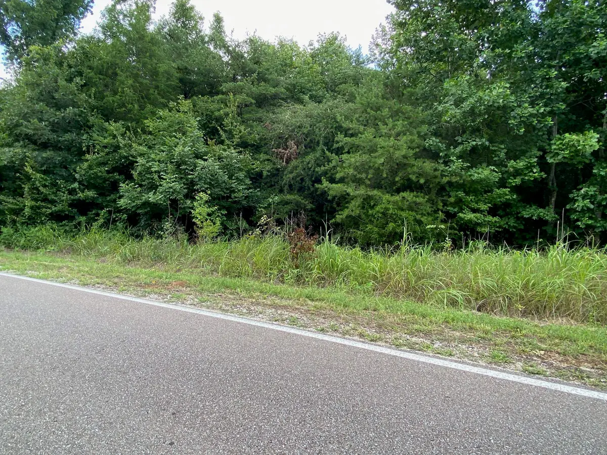 TRACT 3 GLENDALE RD, Morris Chapel, TN 38361 - #1