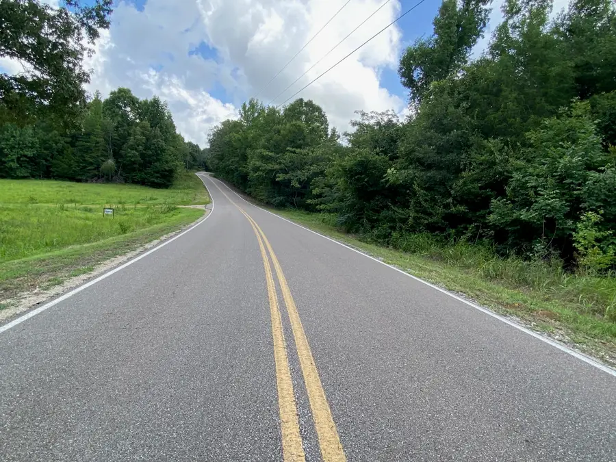 TRACT 3 GLENDALE RD, Morris Chapel, TN 38361 - #2