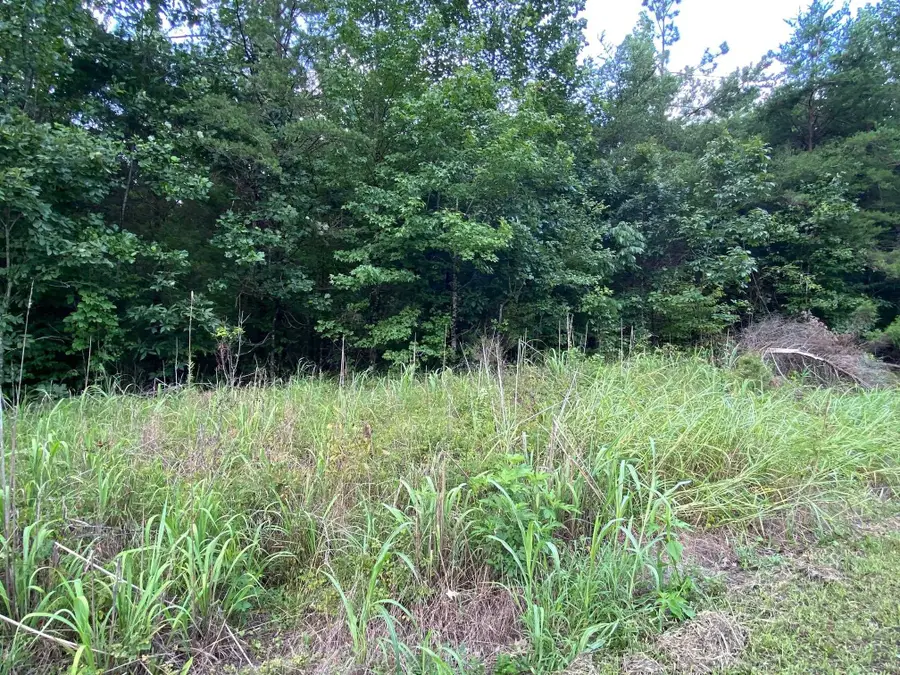 TRACT 3 GLENDALE RD, Morris Chapel, TN 38361 - #3