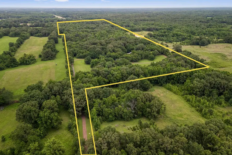 12368 MACON RD, Collierville, TN 38017 - #2