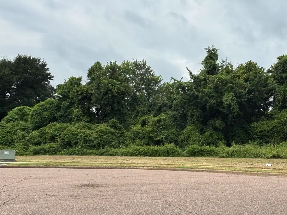 5033 CARTERVILLE PL, Memphis, TN 38127 - #1