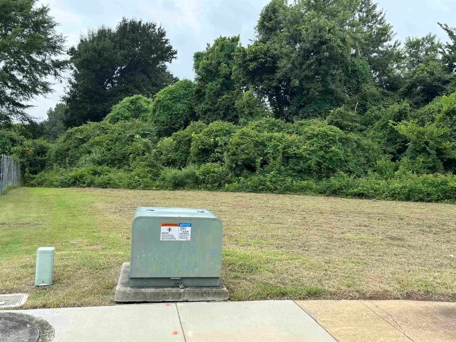 5033 CARTERVILLE PL, Memphis, TN 38127 - #3
