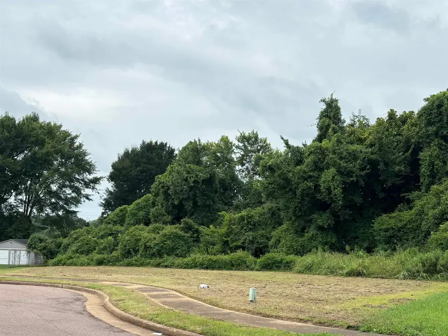 5041 CARTERVILLE PL, Memphis, TN 38127 - #2