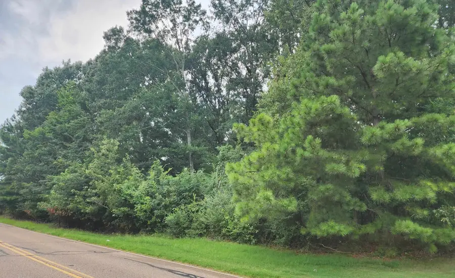 0 HAYES RD, Arlington, TN 38002 - #2