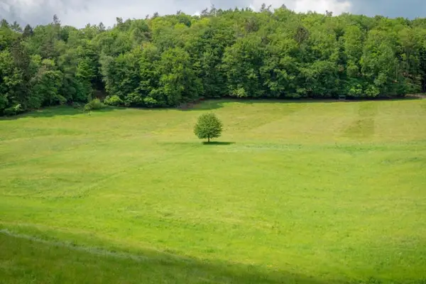 11888 STABLE VIEW DR #Lot 20, Eads, TN 38028