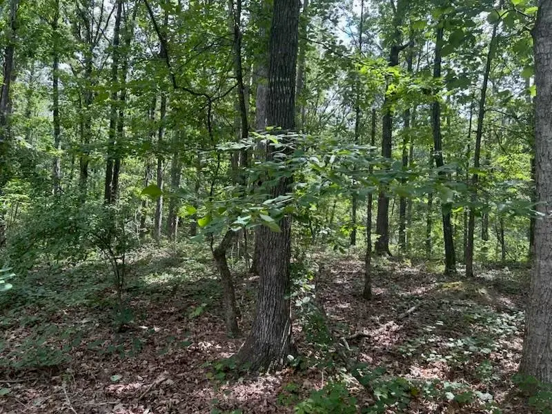 685 CHAD LN, Pickwick Lake, TN 38365 - #2