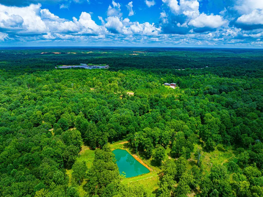350 HAMILTON RD, Springville, TN 38256 - #2