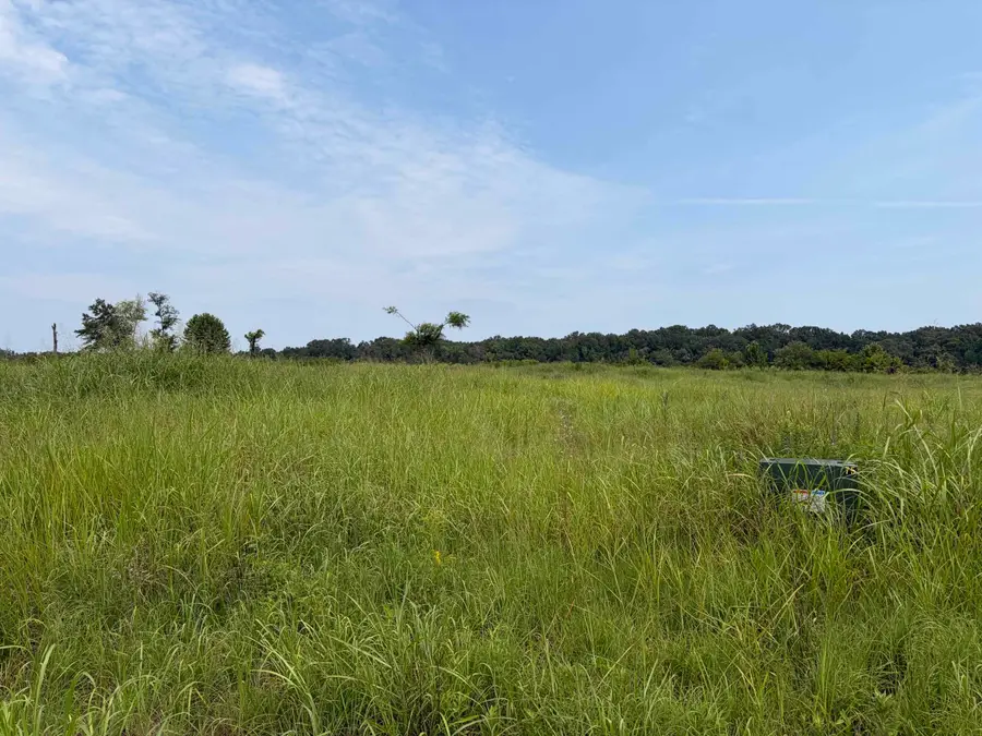 75 CRAVENS RD, Savannah, TN 38372 - #2