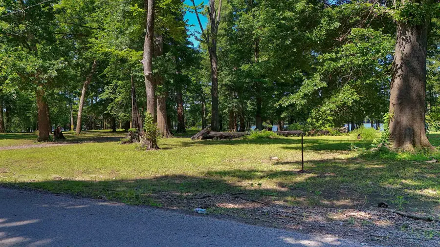56 CHISHOLM LAKE RD, Ripley, TN 38063 - #3