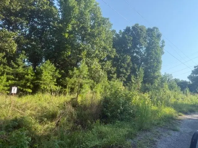TRACT 1 BELEW HOLLOW HILL RD, Waynesboro, TN 38485 - #1